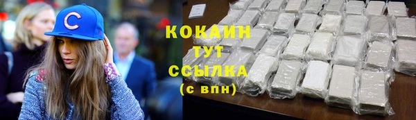 индика Абаза