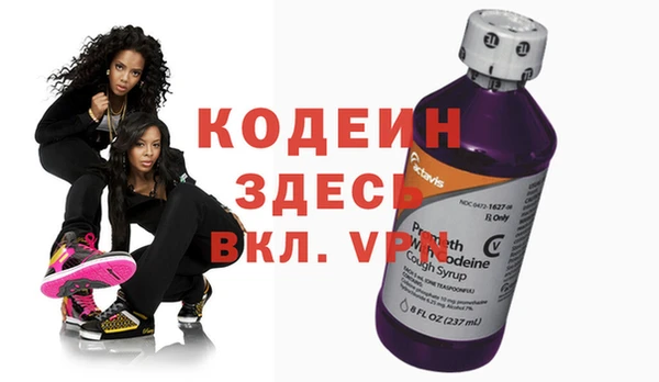 индика Абаза