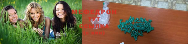 индика Абаза