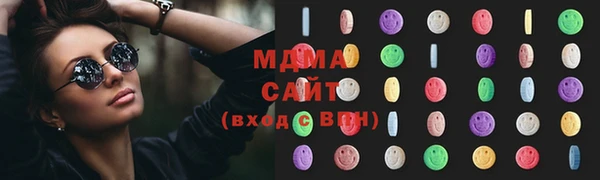 индика Абаза