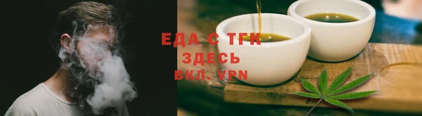 индика Абаза