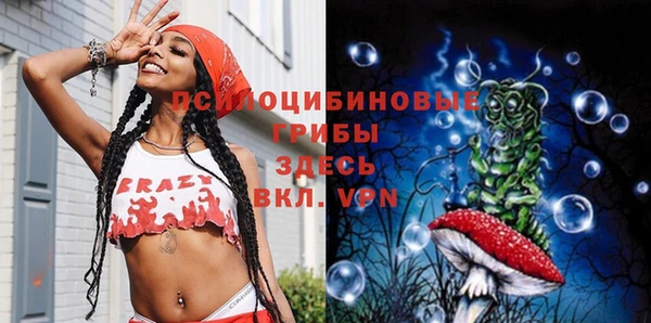 индика Абаза