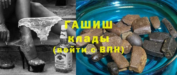 индика Абаза