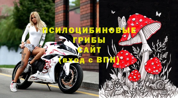 индика Абаза