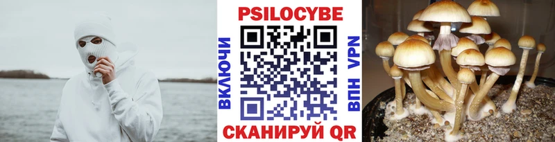 Галлюциногенные грибы мицелий  Тюкалинск 